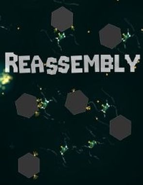 Reassembly (PC)