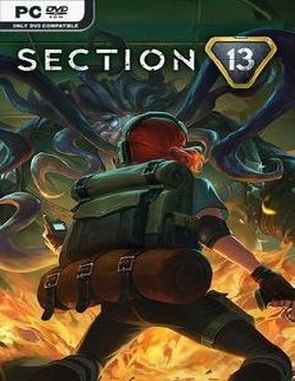 Section 13 (PC)