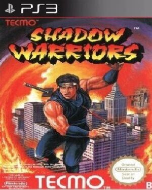 Shadow Warriors (PS3)