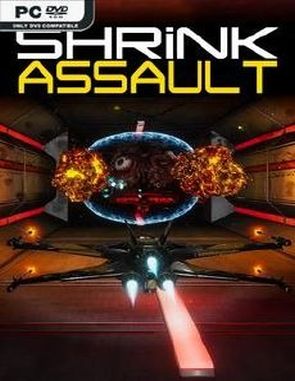 Shrink Assault (PC)