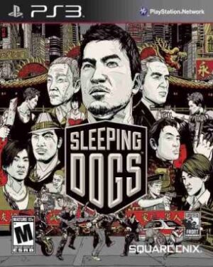 Sleeping Dogs (PS3)