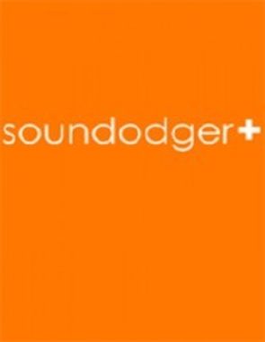 Soundodger (PC)