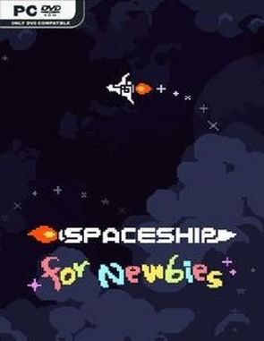 Spaceship for Newbies (PC)