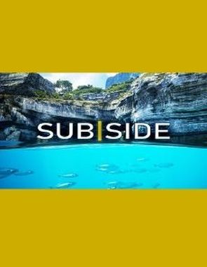 Subside (PC)