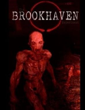 The Brookhaven Experiment (PC)