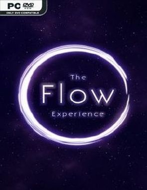 The Flow Experience (PC)