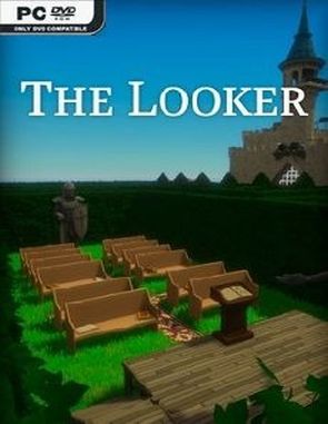 The Looker (PC)