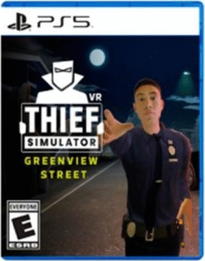 Thief Simulator VR Greenview Street (PS5)