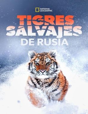 Tigres salvajes de Rusia (2022) (Películas)