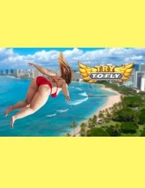 Try_to_Fly Try to Fly (PC)