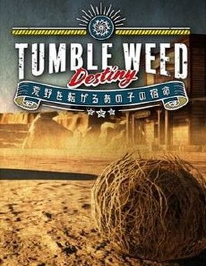 Tumbleweed Destiny (PC)
