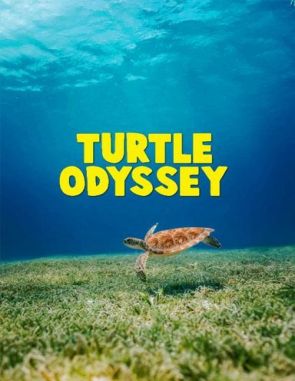 Turtle Odyssey (2018) (Películas)