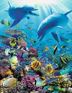 Under Water Adventure (PC)