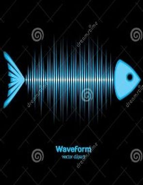 Wave Form (PC)