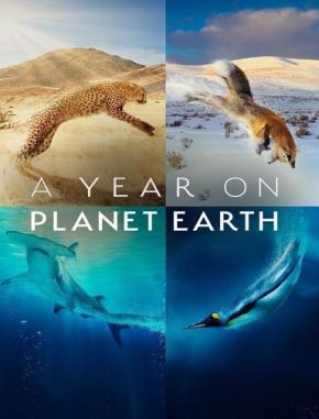A_Year_on_Planet_Earth A Year on Planet Earth (2022) (Serie)