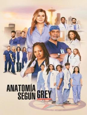Grey's Anatomy (2005) (Serie)