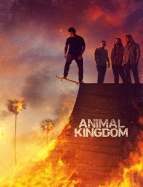 Animal Kingdom (2016) (Serie)
