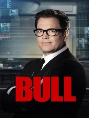 Bull (2016) (Serie)