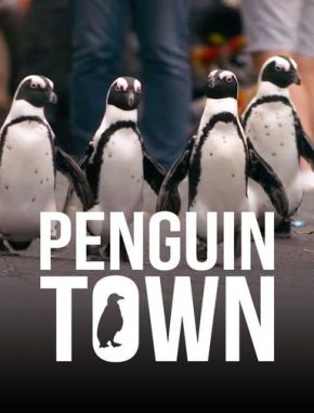 Colonia Pingüino (2024) (Serie)