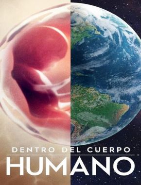 Cuerpo humano: Un mundo entrañable (2021) (Serie)