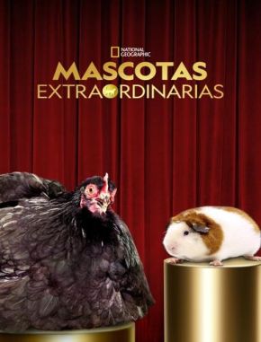 Going Fur Gold (2024) (Serie)