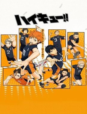 Haikyu!! (2014) (Serie)