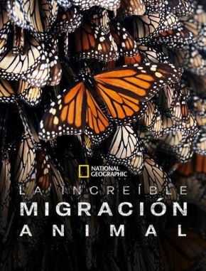 Incredible Animal Journeys (2020) (Serie)