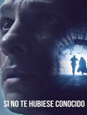 Si no te hubiese conocido (2018) (Serie)